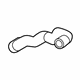 GM 85165353 Upper Hose