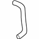 GM 25623760 Upper Hose