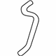 GM 25625599 Lower Hose
