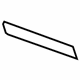 GM 25964004 Front Trim, Titanium, Driver Side