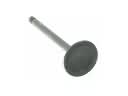 2014 Buick Enclave Intake Valve